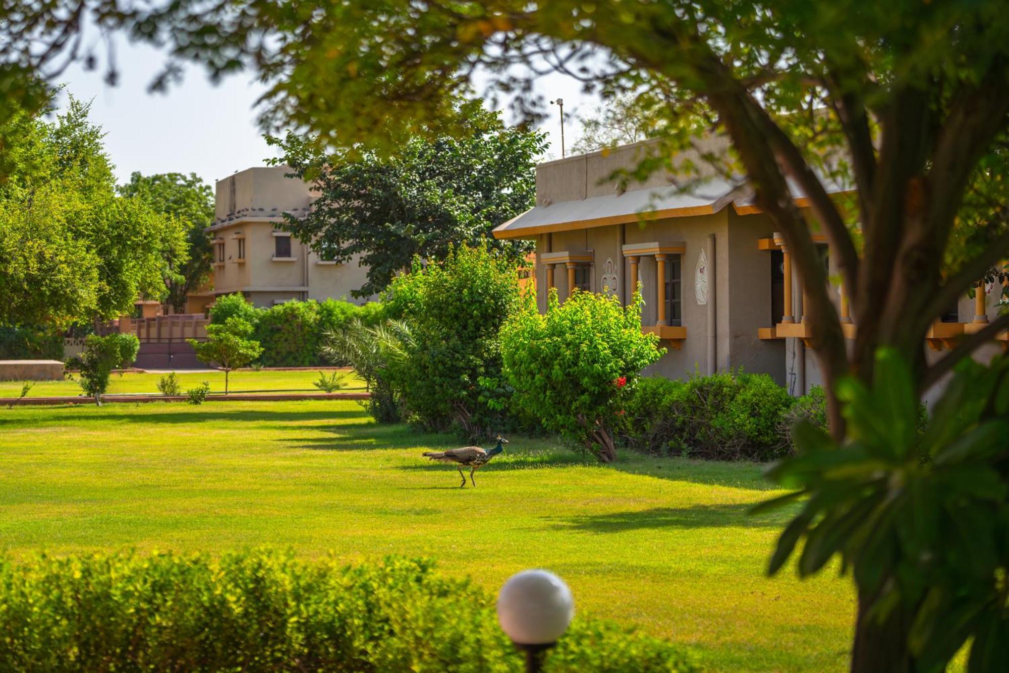Thar Oasis Resort And Camp Dechu 외부 사진